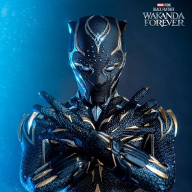 Black Panther Wakanda Forever Movie Masterpiece 1/6 Action Figure Black Panther by Hot Toys